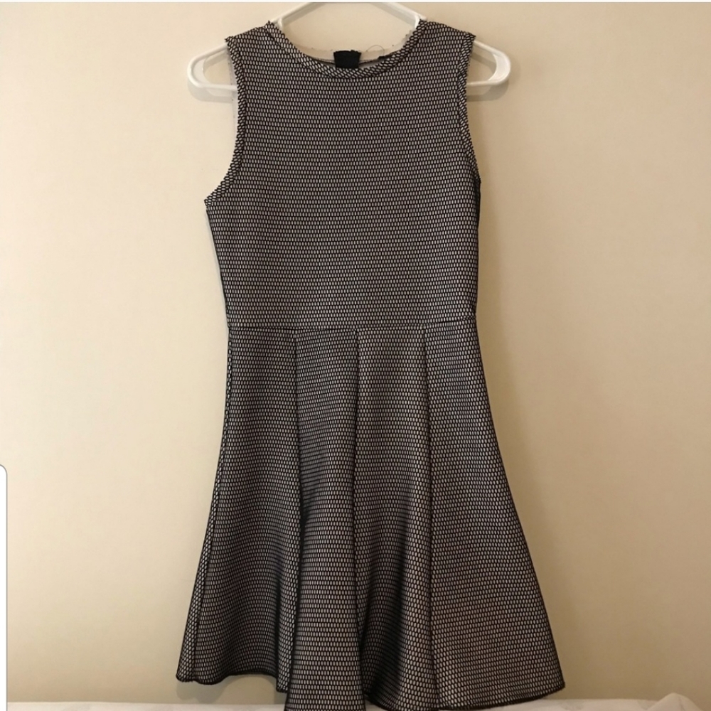 Zara Black and Tan Net Mesh Skater Dress